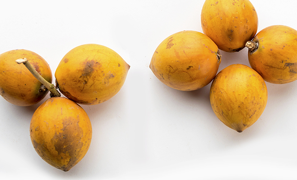 The Untapped Benefits of the African Star Fruit (ALASA) Kwame Nkrumah